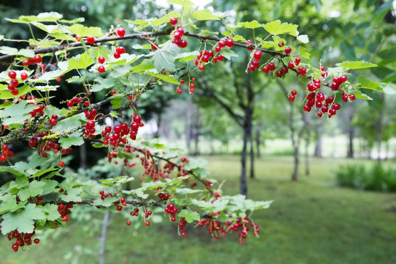 Rudanovac Plitvice Retreat Apartments מראה חיצוני תמונה